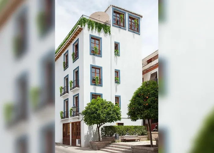 Sueno De Elvira